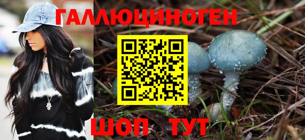 Псилоцибиновые грибы Psilocybine cubensis  Псилоцибиновые грибы мухоморы  Богородск  Вход с VPN 